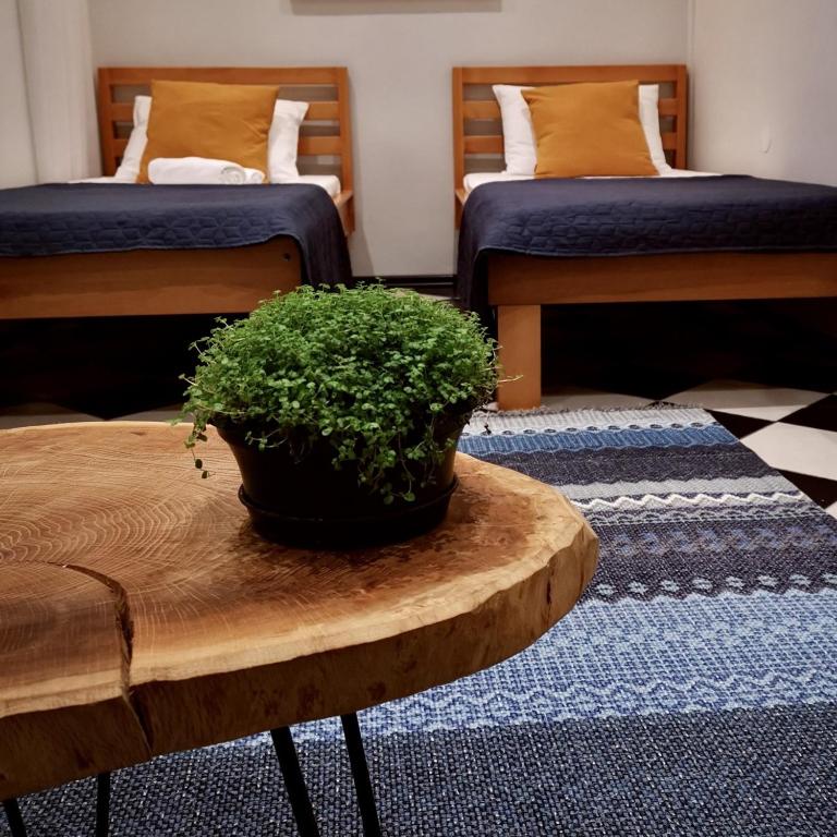 a plant on a wooden table in a room with two beds at Moonrise Apartment in Mostar