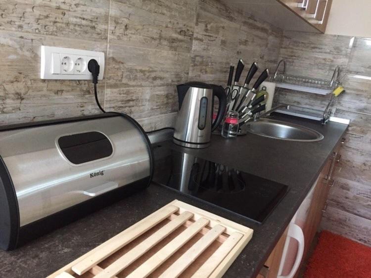 Kuchyň nebo kuchyňský kout v ubytování Apartmani Jela Tara