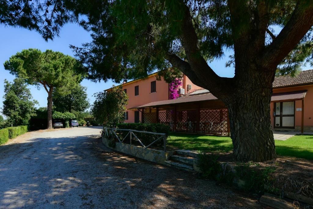 a house with a tree next to a driveway at Agriturismo Brancalino in Magliano in Toscana