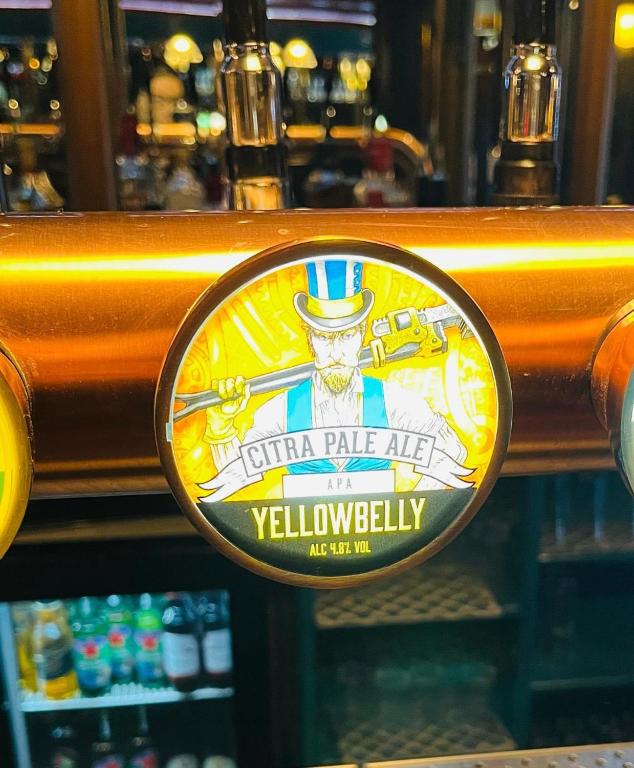 Certifikát, hodnocení, plakát nebo jiný dokument vystavený v ubytování Bugler Doyles Bar & Townhouse