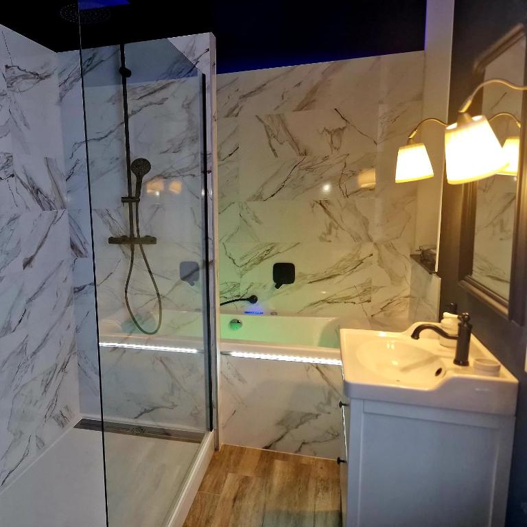 une salle de bain avec douche et lavabo dans l'établissement LES BC BG, à Charleville-Mézières