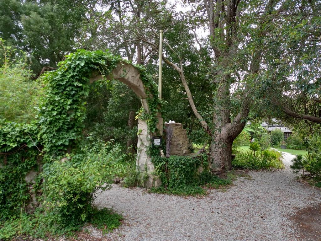 an archway in a garden next to a tree at Holt Hill in Plettenberg Bay