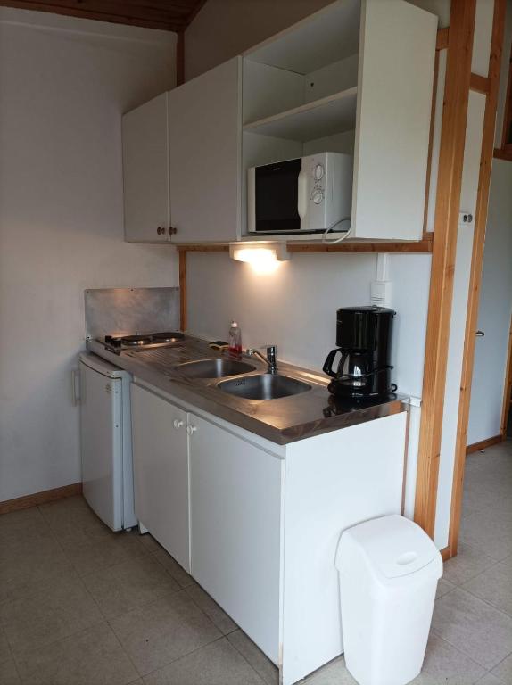 a small kitchen with a sink and a microwave at CAMPING DE LA CHALARONNE in Saint-Didier-sur-Chalaronne