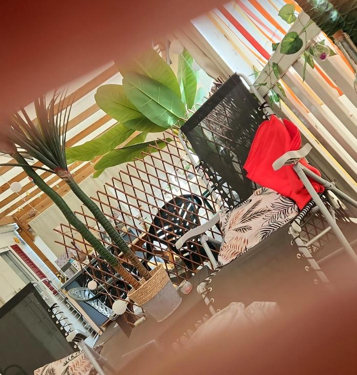 a room with a chair and a potted plant at Mobil home 6 personnes Forêt des landes in Mimizan