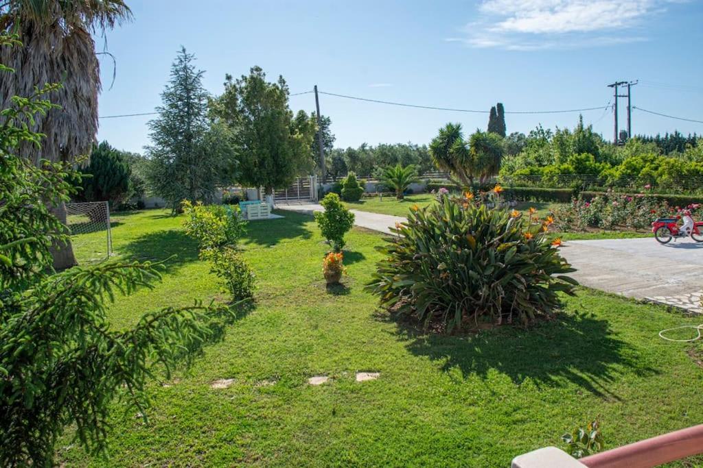 a garden with trees and plants in a yard at The Country House in Preveza