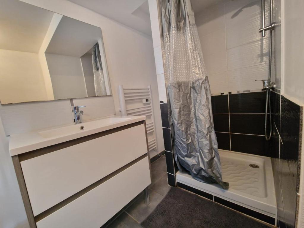 a bathroom with a sink and a shower at Le camélia de la mazarié in Saint-Vincent