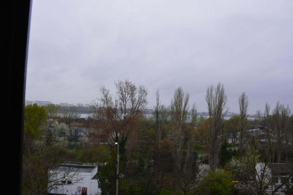 Golden Rose Residence - Resim 34