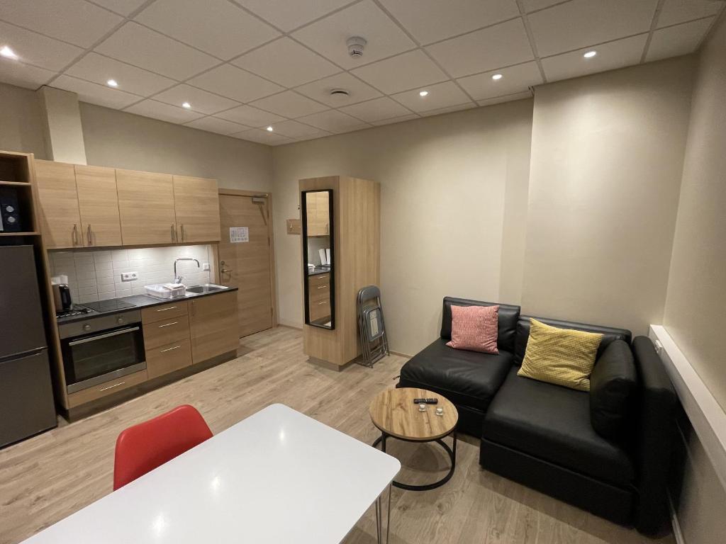 Kuchyň nebo kuchyňský kout v ubytování K16Apartments