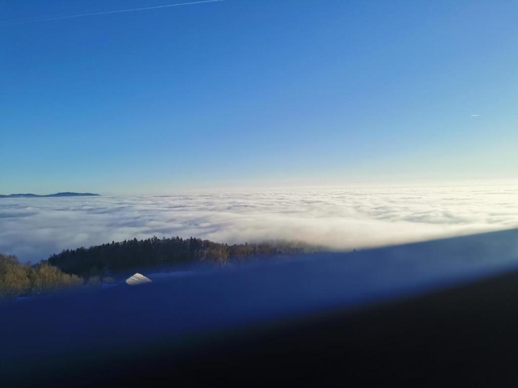 een uitzicht vanuit een vliegtuig van wolken en bomen bij Sternstube – Appartement mit traumhaftem Weitblick in Freyung