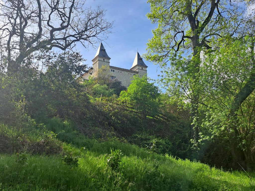 Vonkajšia záhrada v ubytovaní Chateau de la Segue