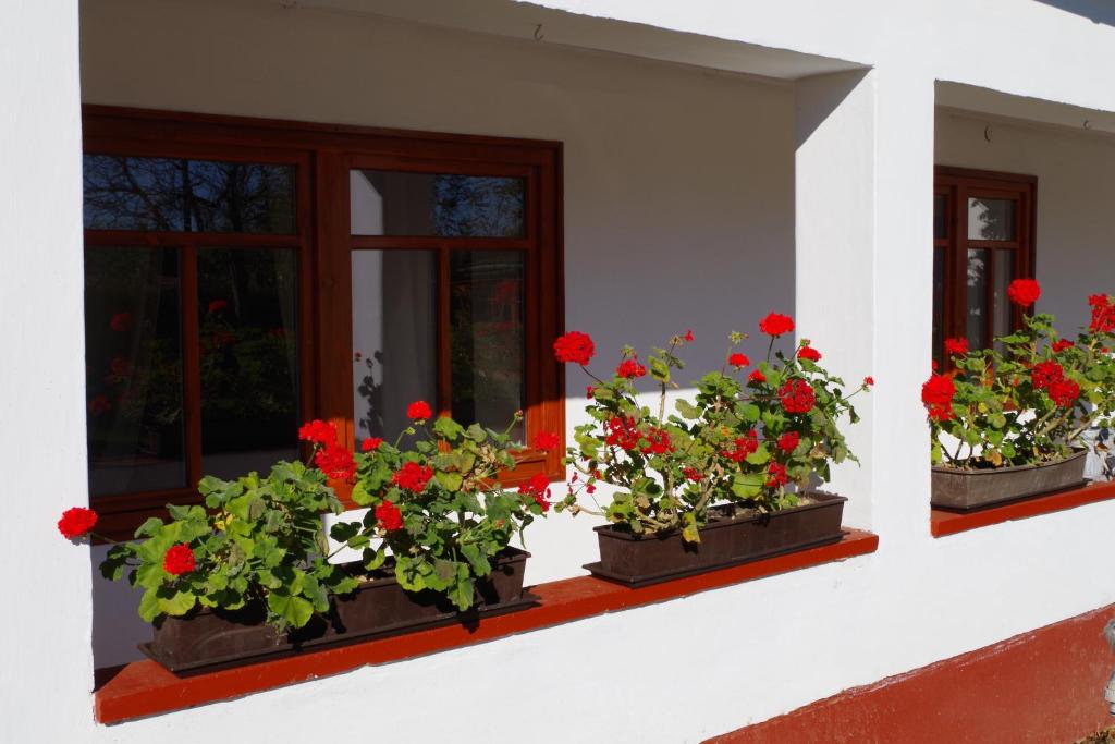 Zahrada ubytování Guest House St. Mária