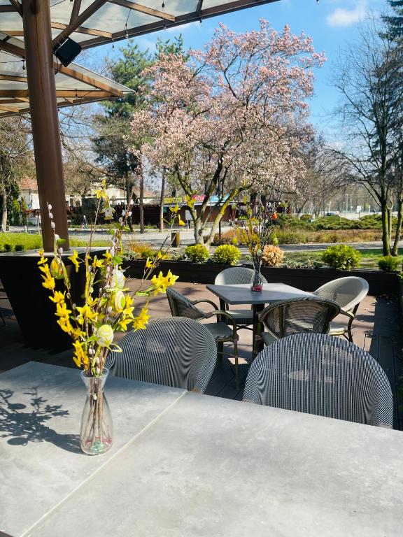 Zahrada ubytování Villa Hotel