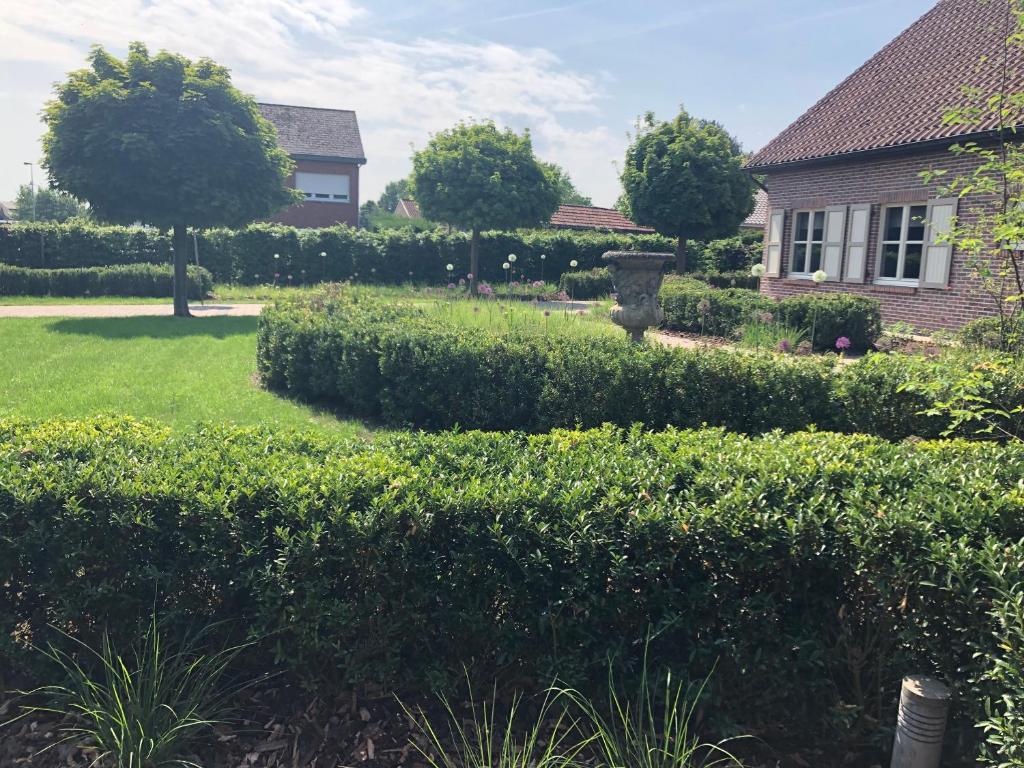 een tuin met heggen en een huis en een gebouw bij De Kempische Akker in Westerlo