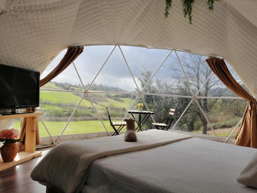 een slaapkamer met een bed en een groot raam bij Glamping Quintana in Gijón