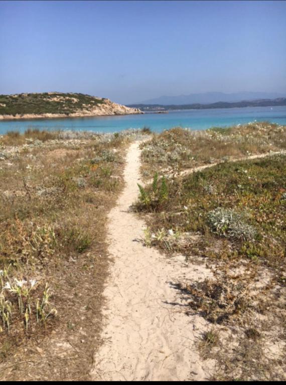 Fotografia z galérie ubytovania Appartement sur l île de cavallo v destinácii Bonifacio