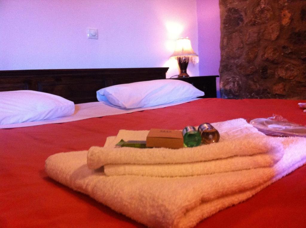 Pasithea Mountain Chalet - Budget Double Room