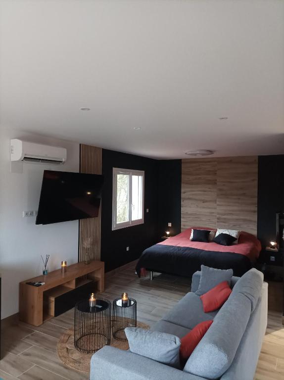 - une chambre avec un lit, un canapé et un lit dans l'établissement Loft sauna jacuzzi ospariegeois, à Lavelanet