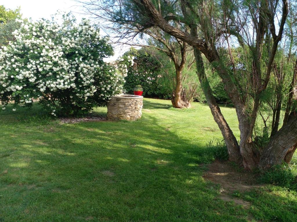Fotografia z galérie ubytovania Location zen en Provence v destinácii Mormoiron