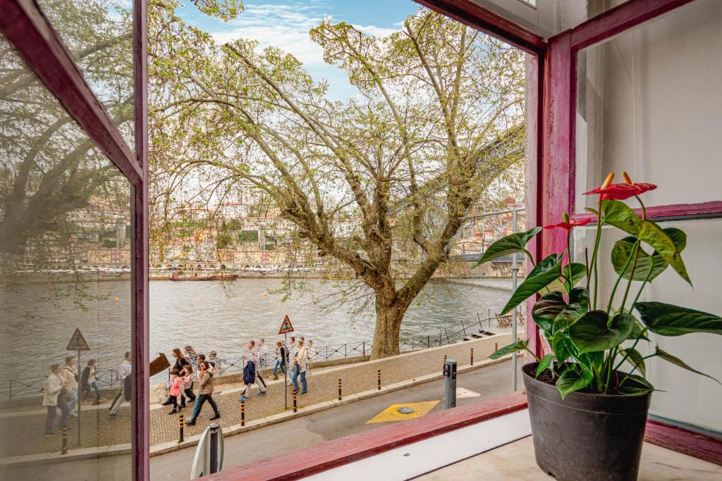 Výhled na řeku, která protéká v blízkosti apartmánu