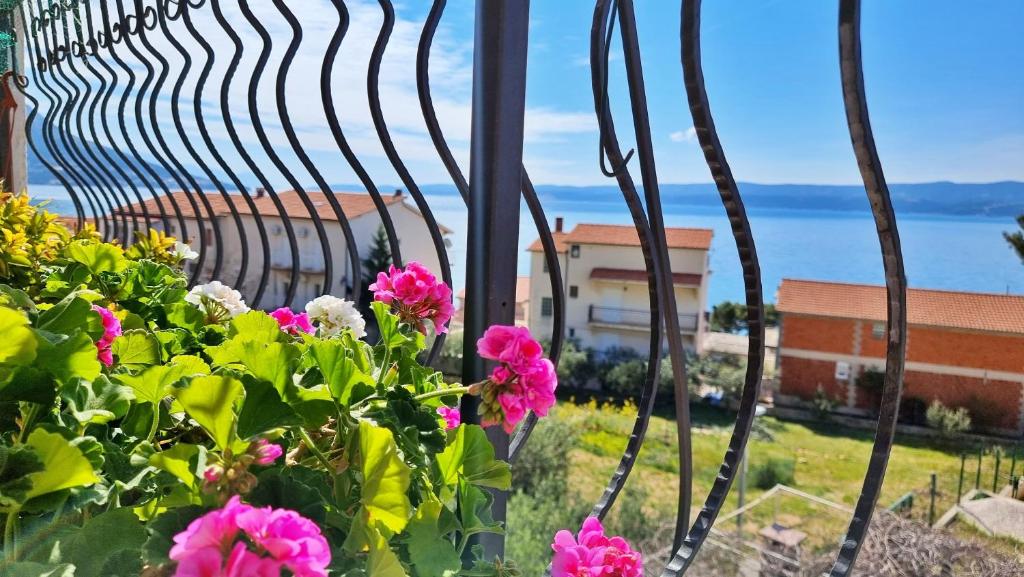 a bunch of flowers in front of a fence at Black and White Apartment - 2 bedrooms, walk to the beach in Duće