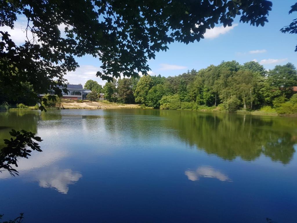 uma vista para um lago com árvores ao fundo em Fewo Am Heidestrandbad em Hemmoor