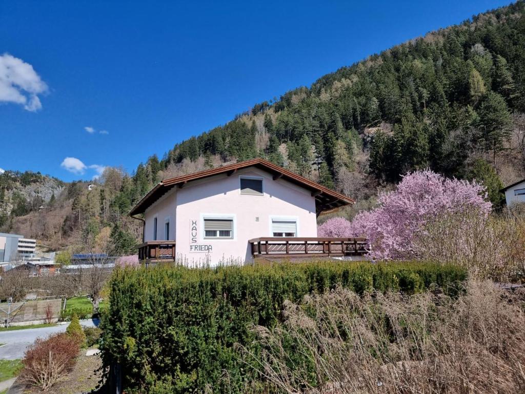 Príroda v okolí apartmánu