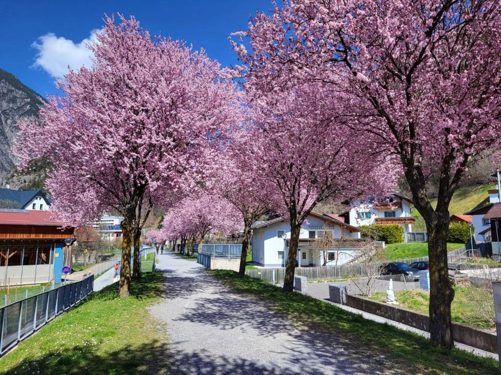 Vonkajšia záhrada v ubytovaní Apartment Frieda by Interhome