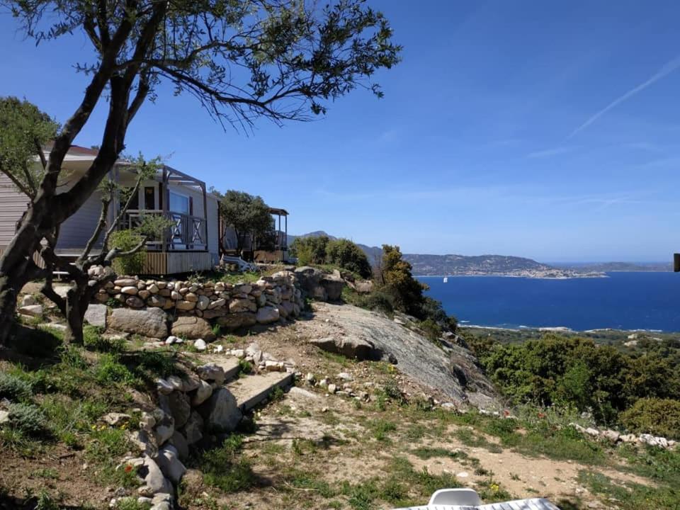 uma casa no lado de uma colina com uma árvore em CAMPING MONTE ORTU em Lumio