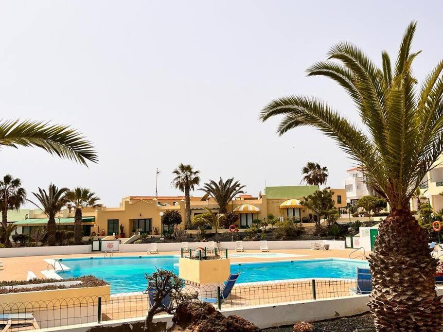 una gran piscina con palmeras y edificios en Puskas Apartman, en Costa de Antigua