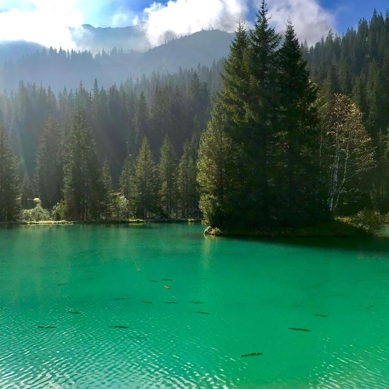 a large emerald green lake with trees in the background at Kristiania Lech in Lech am Arlberg