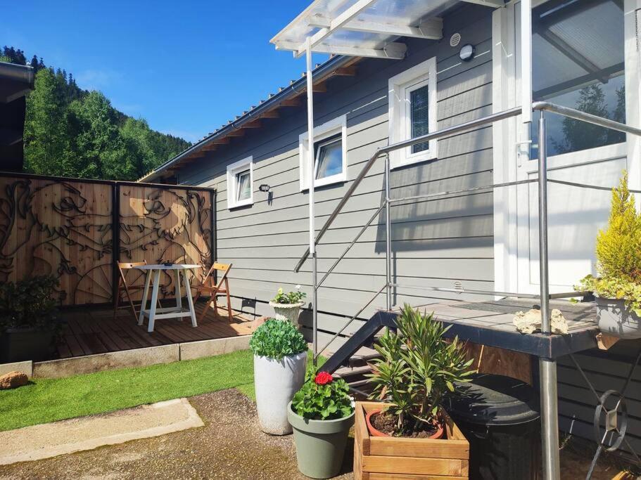 a house with a patio with potted plants and a table at Chalet Notcimick in Raon-sur-Plaine