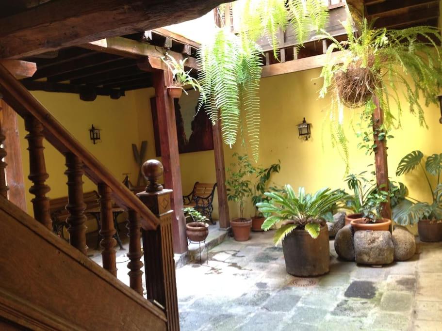 Fotografie z fotogalerie ubytování CASA MONTAÑEZ, caserón histórico v destinaci Santa Cruz de la Palma