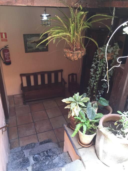 Zahrada ubytování CASA MONTAÑEZ, caserón histórico