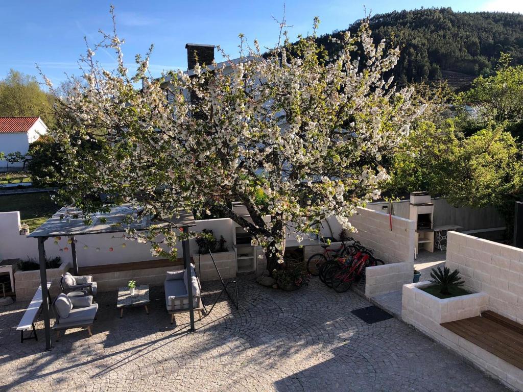 un árbol con flores blancas en la parte superior de un patio en Casa da Avó Olinda, en Góis