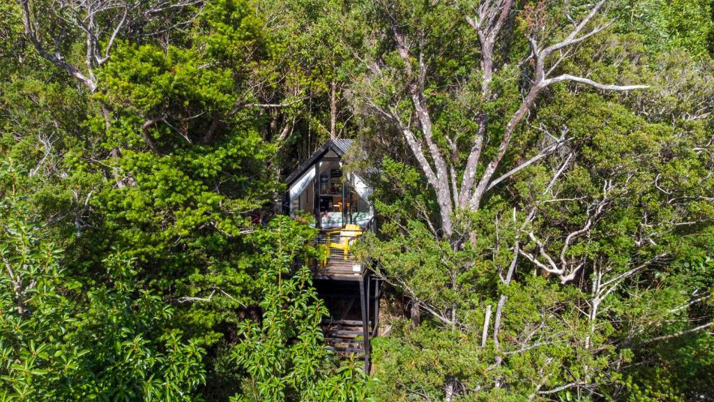 Epu 2 - Welemu Cabañas Tiny House في Curiñanco: قطار في وسط غابة من الأشجار