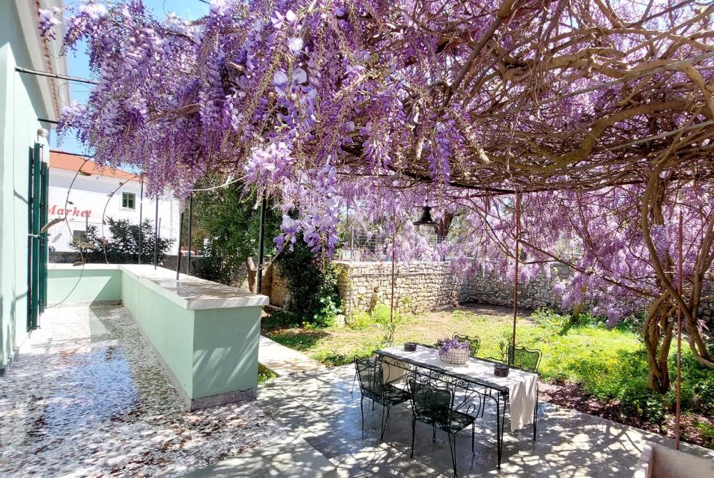 A garden outside Epameinondas Luxury House