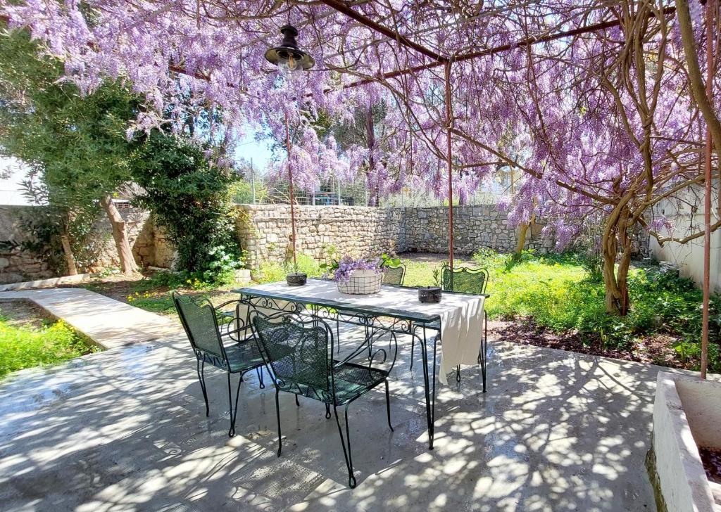 A garden outside Epameinondas Luxury House