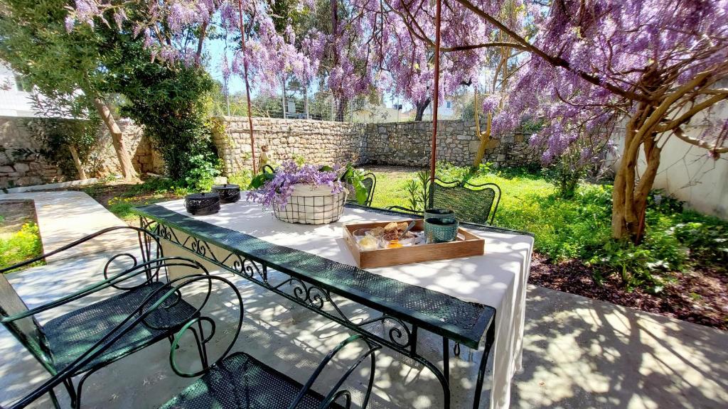 A garden outside Epameinondas Luxury House