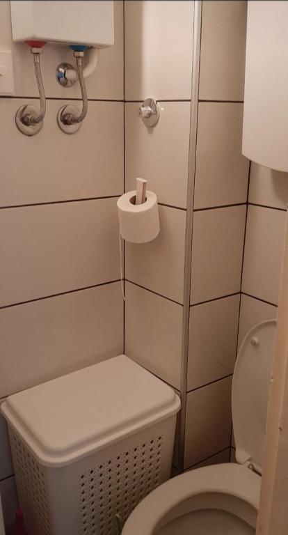 Bagno di Downtown Belgrade Hostel and Apartments