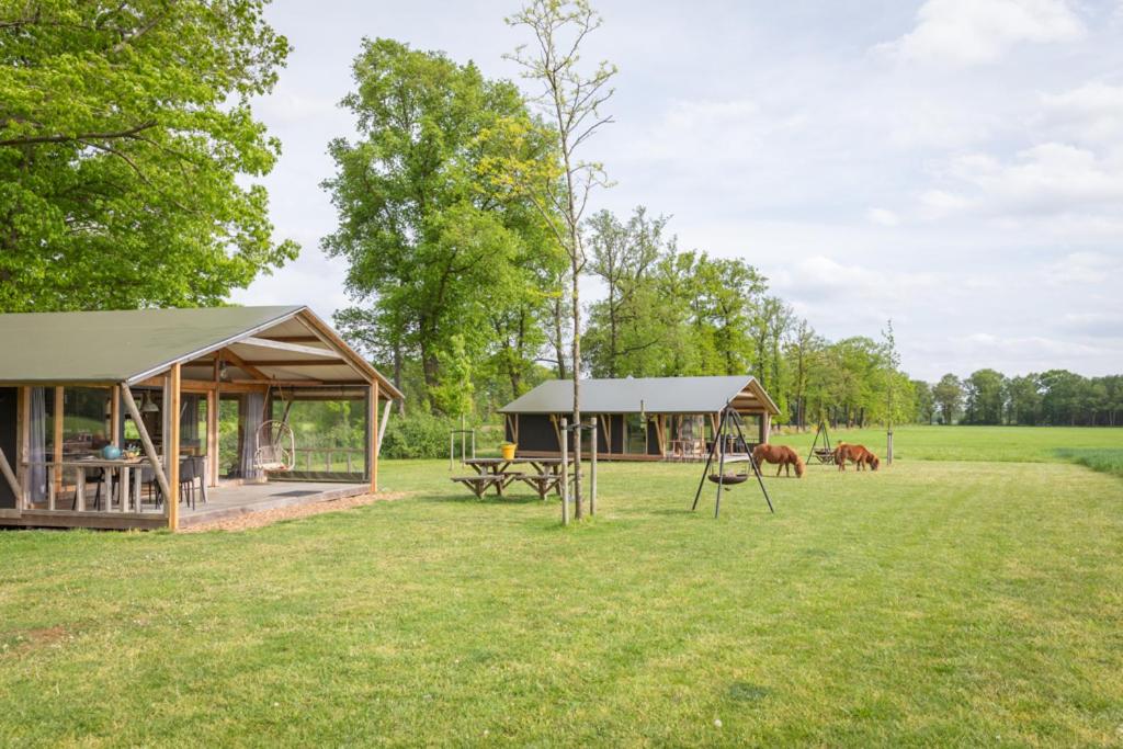 eine Hütte auf einem Feld mit Pferden im Hintergrund in der Unterkunft Landrijk De Reesprong boerderij in Haaksbergen