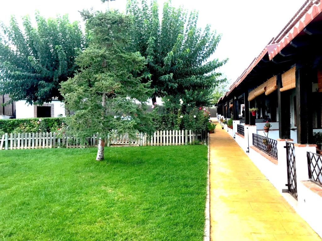Jízda na kole v ubytování Apartamento Rural Villa Aurora nebo okolí