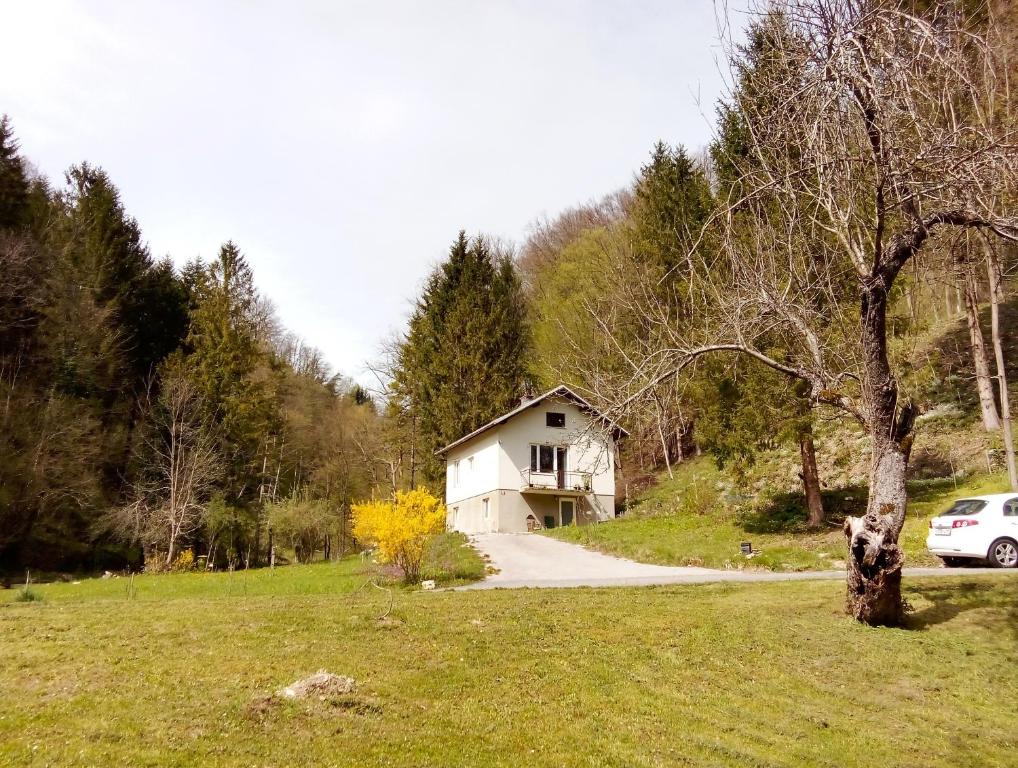 una casa en un campo al lado de una carretera en Art house Tufi, en Bistrica ob Sotli