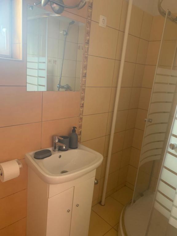 Koupelna v ubytování Gábor Áron Apartment