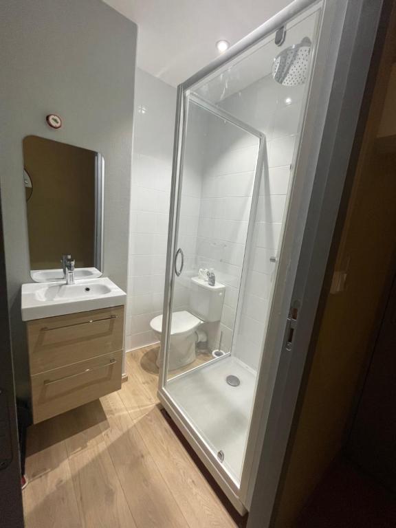 a bathroom with a shower and a sink and a toilet at Petit Studio Centre-ville n°8 in Besançon