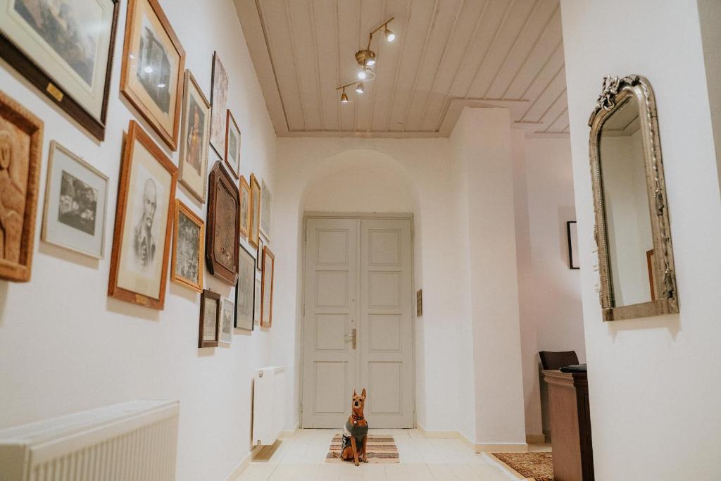 Fotografie z fotogalerie ubytování 1909 Guesthouse v destinaci Kalavrita