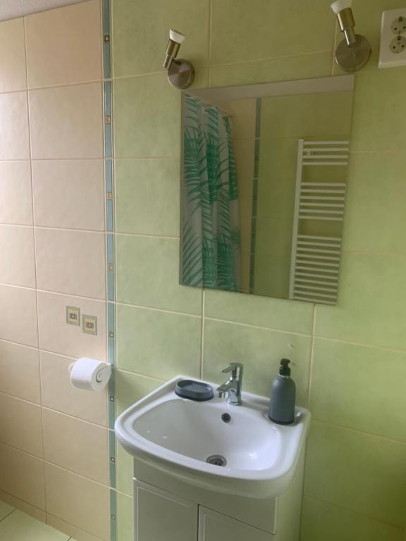 Koupelna v ubytování Gábor Áron Apartment