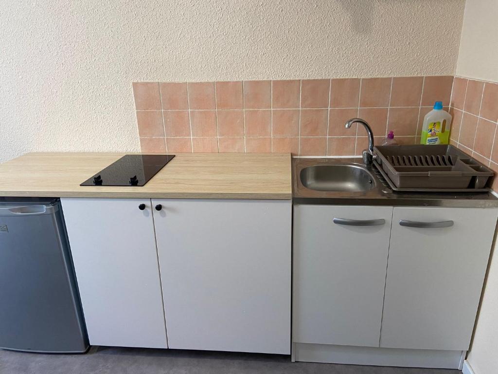 a kitchen with a sink and a counter top at Studio meublé à Lyon Centre in Lyon