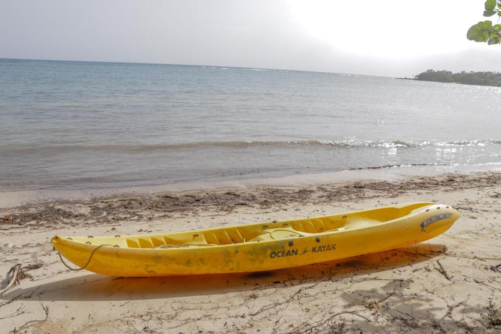 Homestay Beach, Little Bay, Jamaica