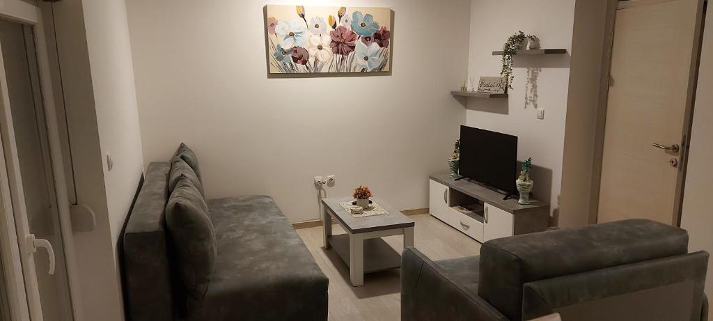 TV a/nebo společenská místnost v ubytování President 034