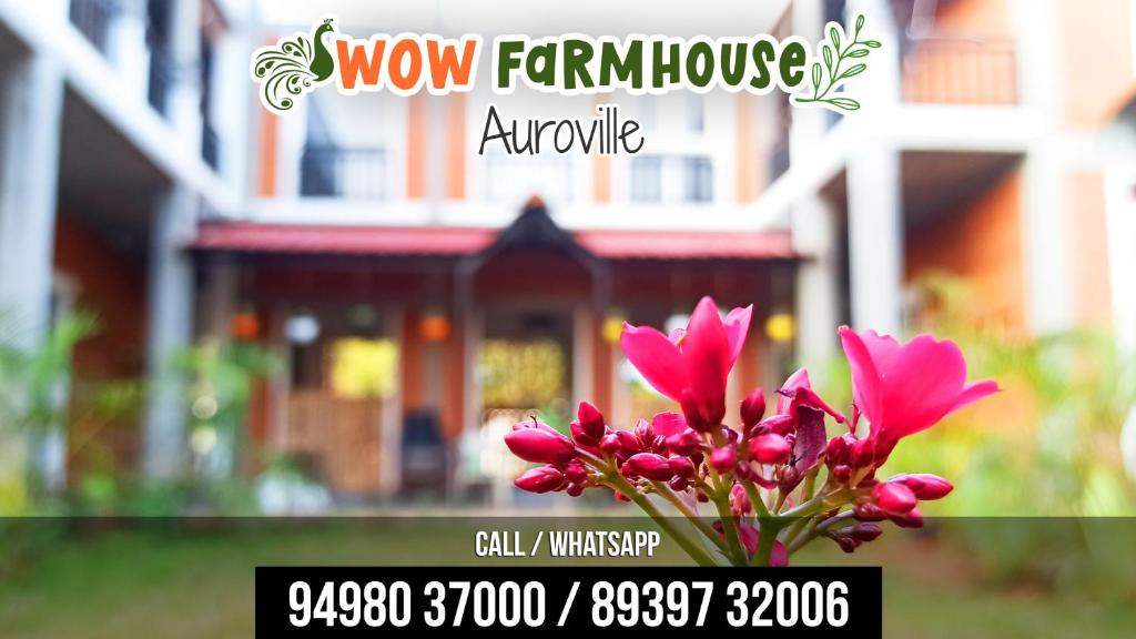 a vase of pink flowers in front of a house at Wow Farm House & Resort near Pondicherry in Auroville